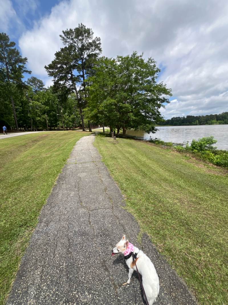 walking near me in Cooper Creek Park in spring