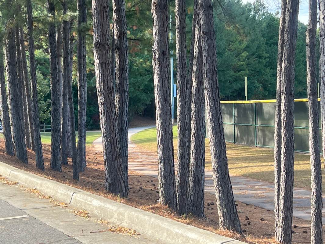 walking near me in Middle Creek School Park in autumn