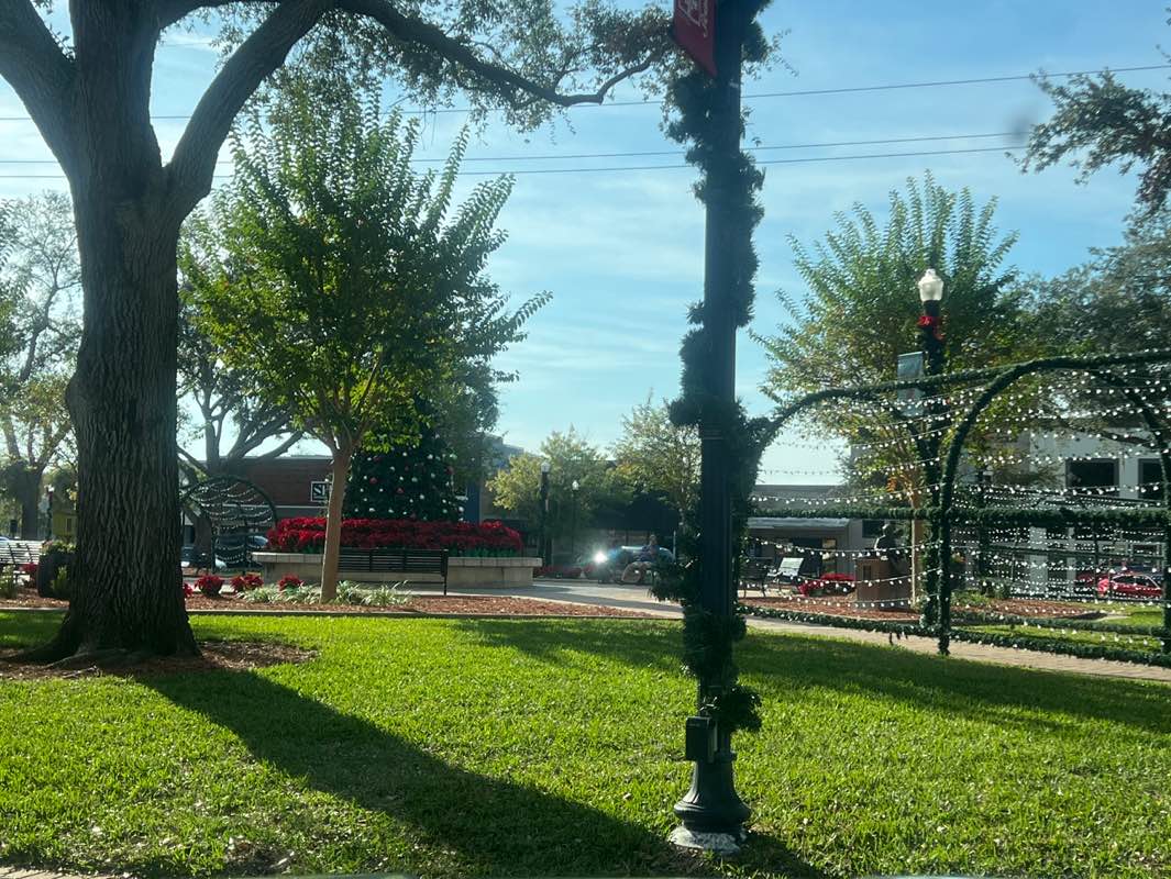 walking near me in Central Park in winter
