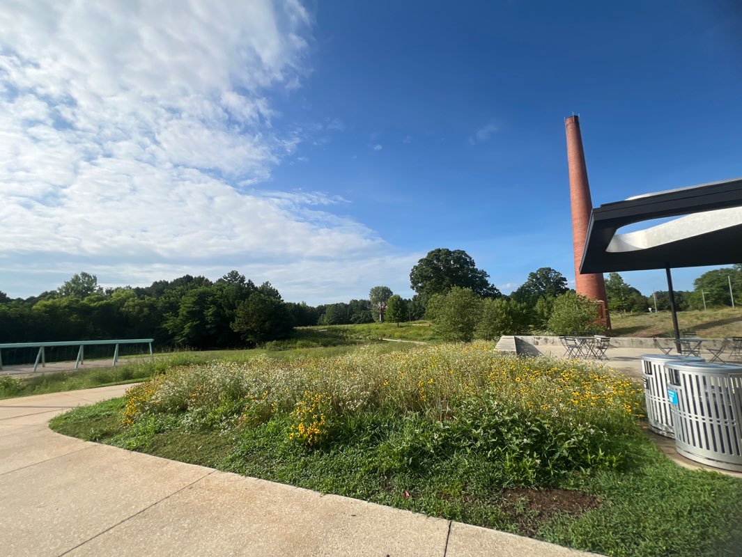 walking near me in Reedy Creek Trail in summer