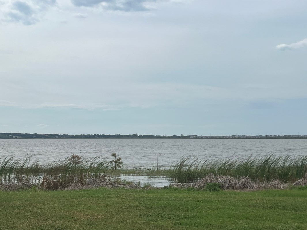 walking near me in Lions Park in autumn