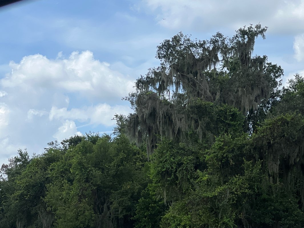 walking near me in Lakeland Highlands Scrub in autumn