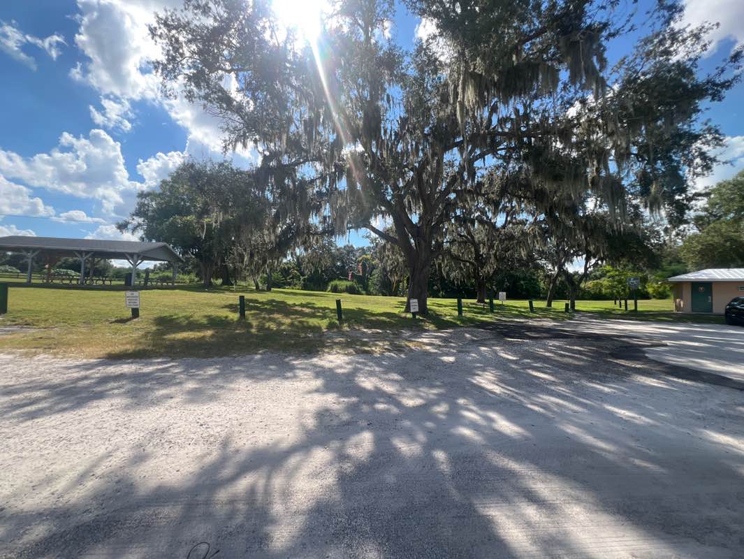 walking near me in Lake Menzie Park in autumn
