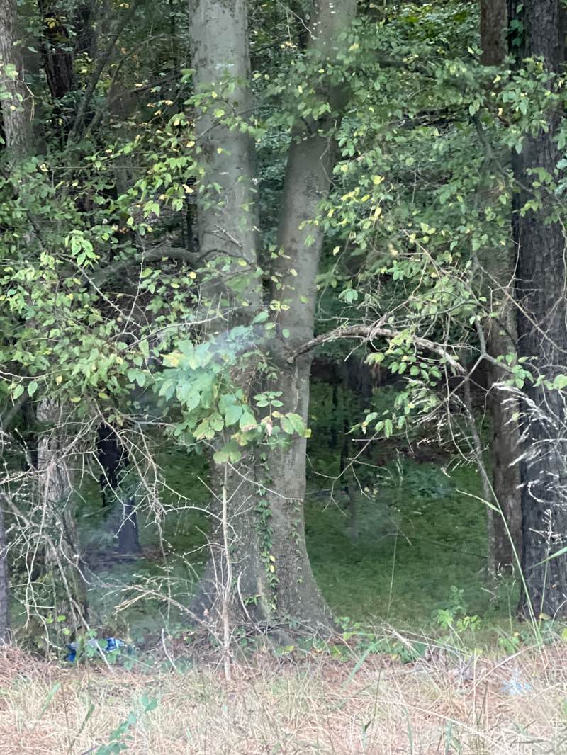 walking near me in Lake Crabtree County Park in autumn