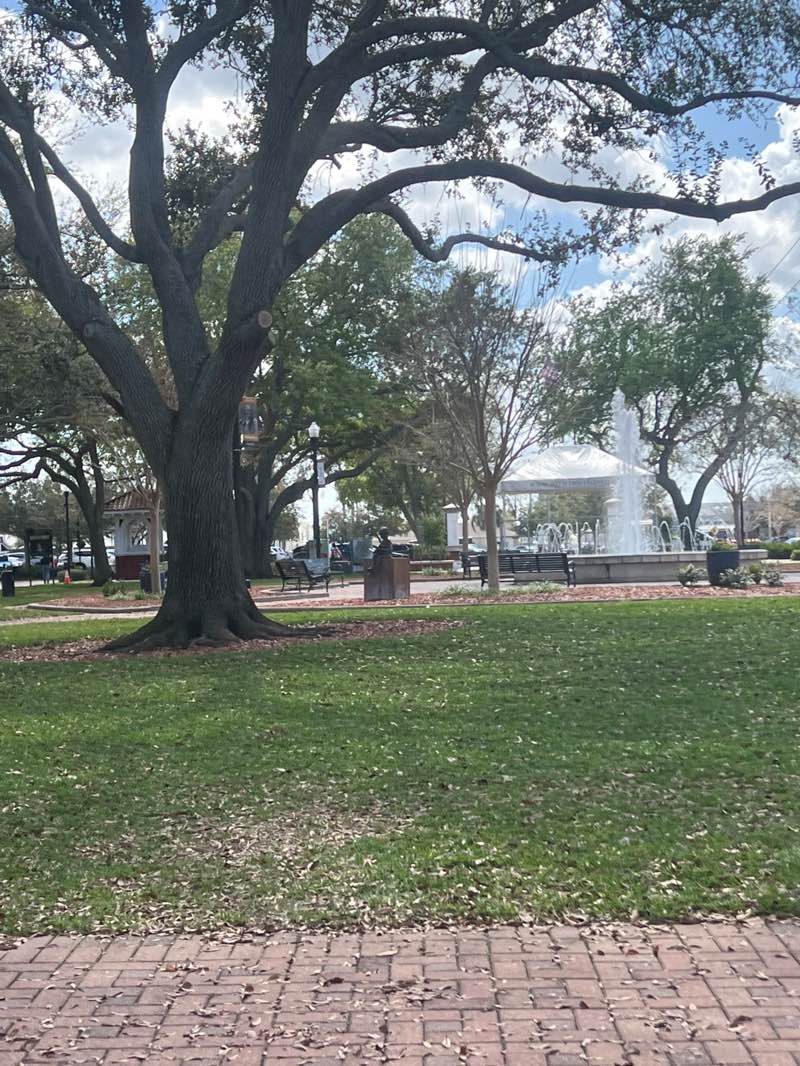 walking near me in Central Park in spring