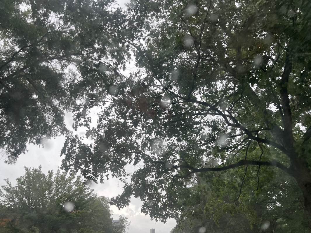 walking near me in Pullen Park in summer