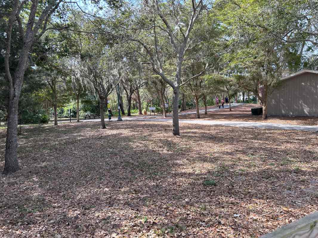 walking near me in Arlington Park & Aquatic Complex in winter