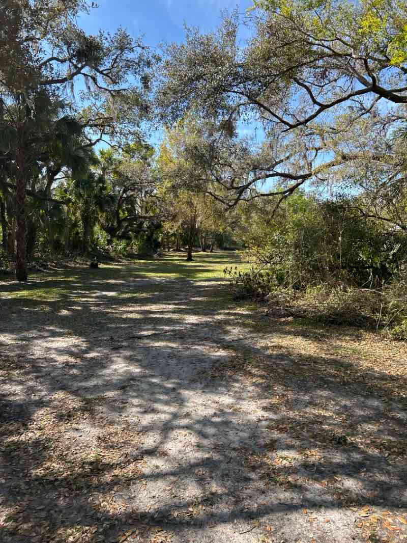 walking near me in Myakkahatchee Creek Environmental Park in winter
