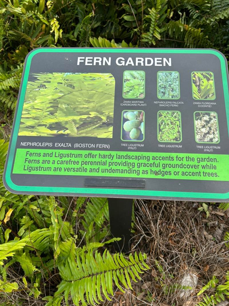 walking near me in Garden of the Five Senses in winter