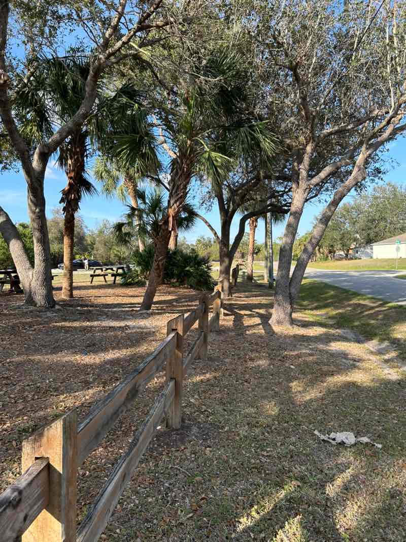 walking near me in Blue Ridge Park in winter