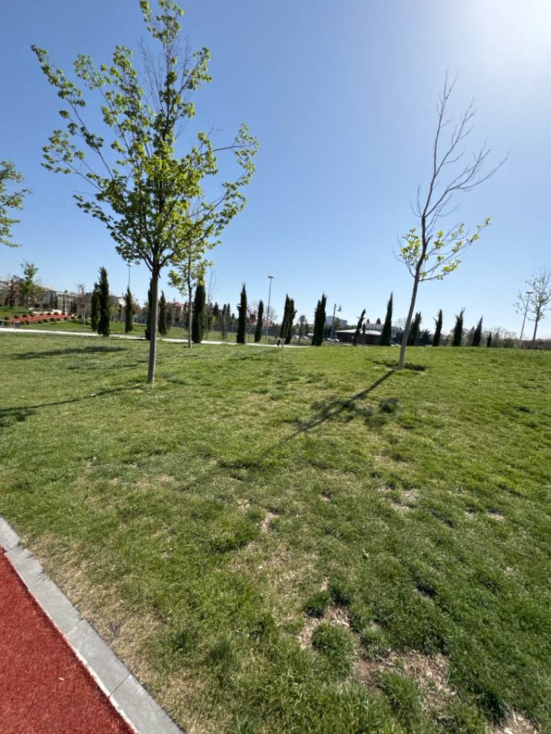 walking near me in Gedavet Parkı in spring