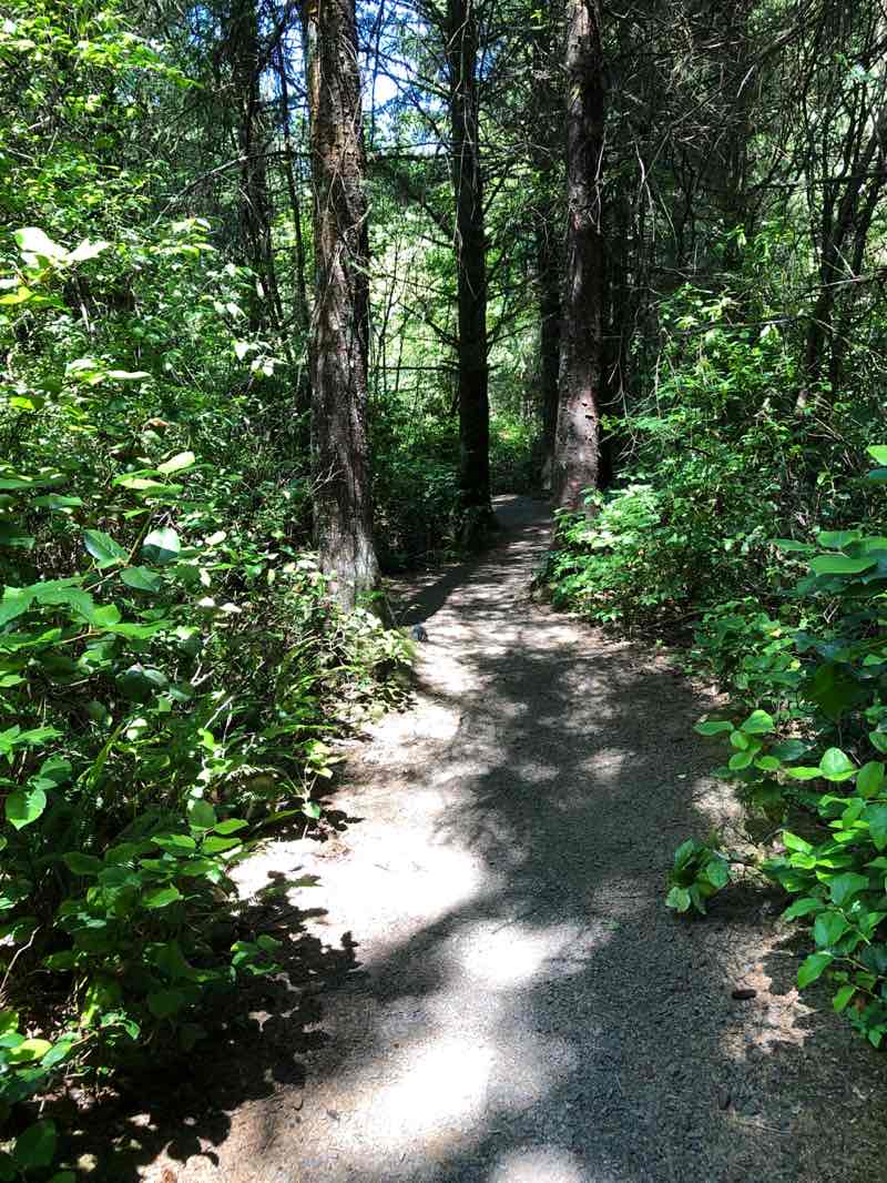 walking near me in Kilchis Point Reserve in summer