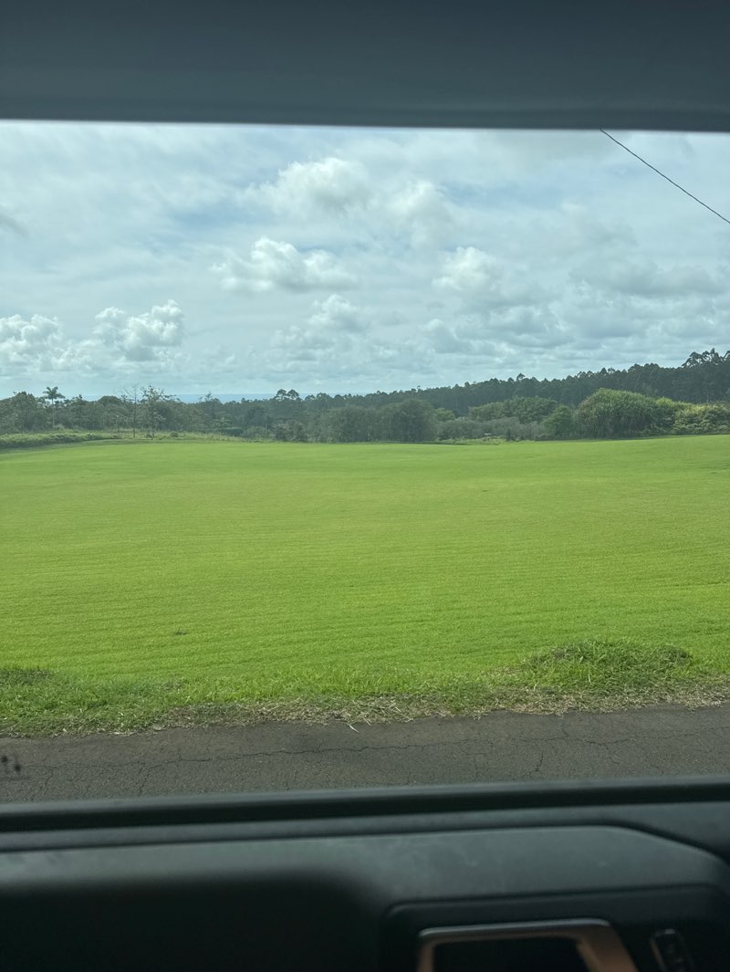 walking near me in Kaiwiki Park in spring
