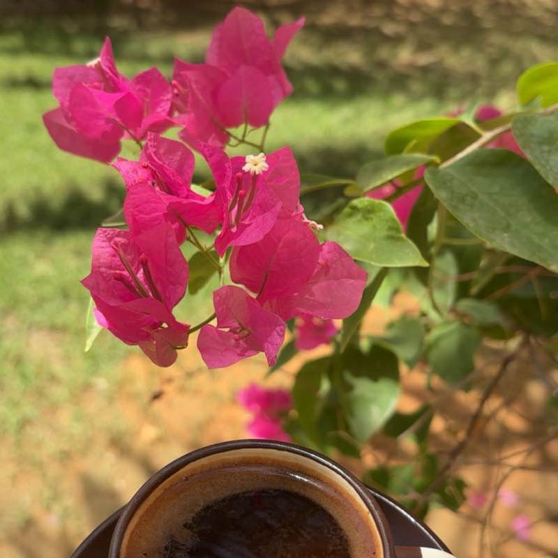 Hot Girl Summer Midlife Mavens 🖤✨🦋 post image