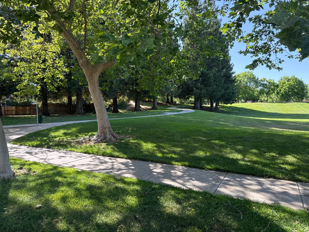 walking near me in Burchell park in summer