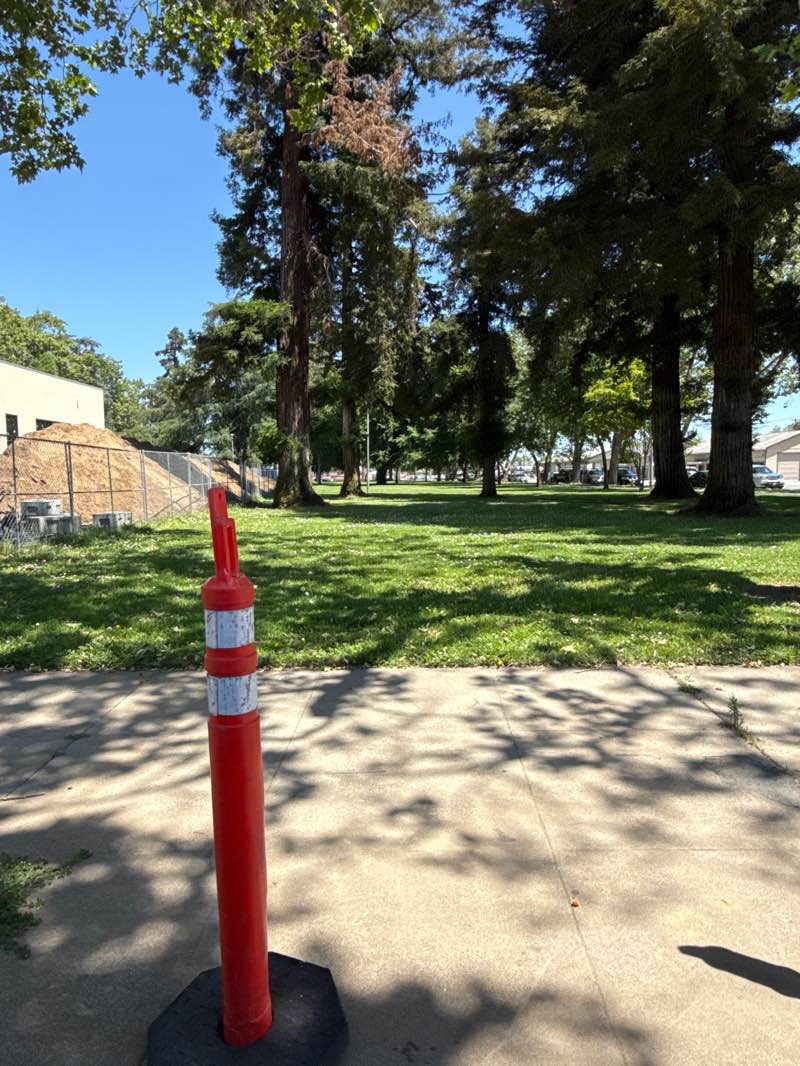 walking near me in Lawrence Park in spring