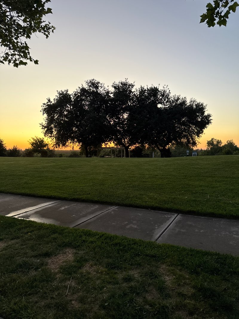 walking near me in Valley View Community Park in summer