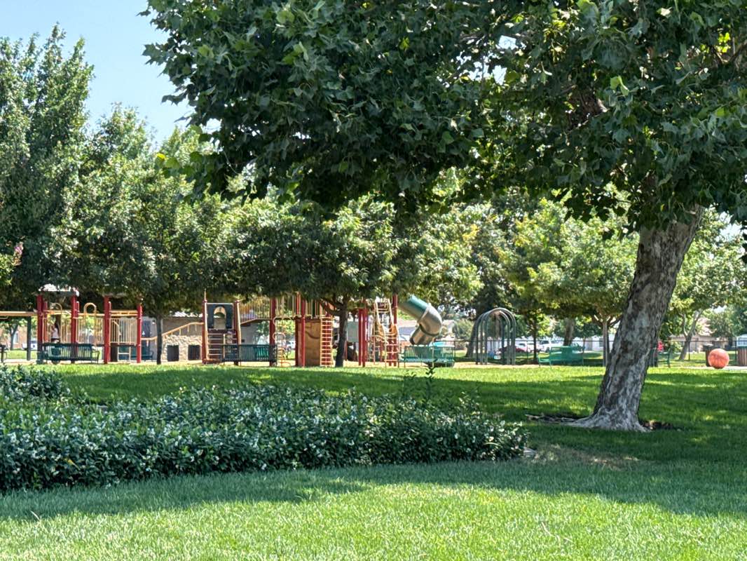 walking near me in Silva park in summer