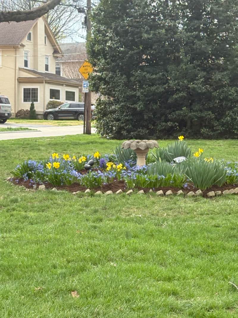walking near me in Meadowgreen Park in spring