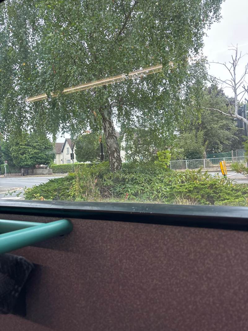 walking near me in Sanderstead Recreation Ground in autumn