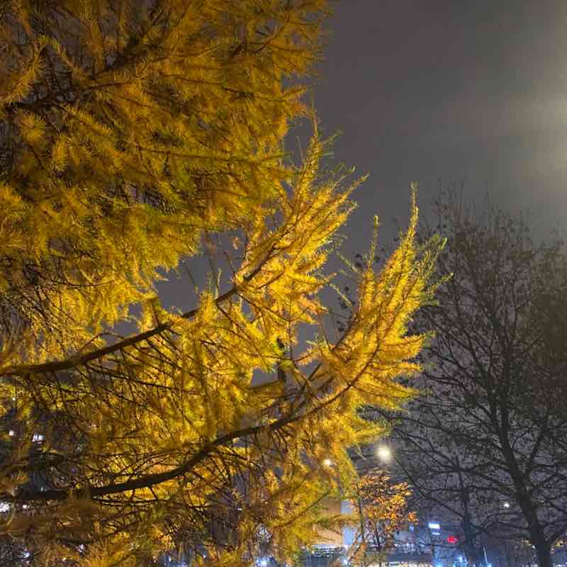 ДГС Римма post image