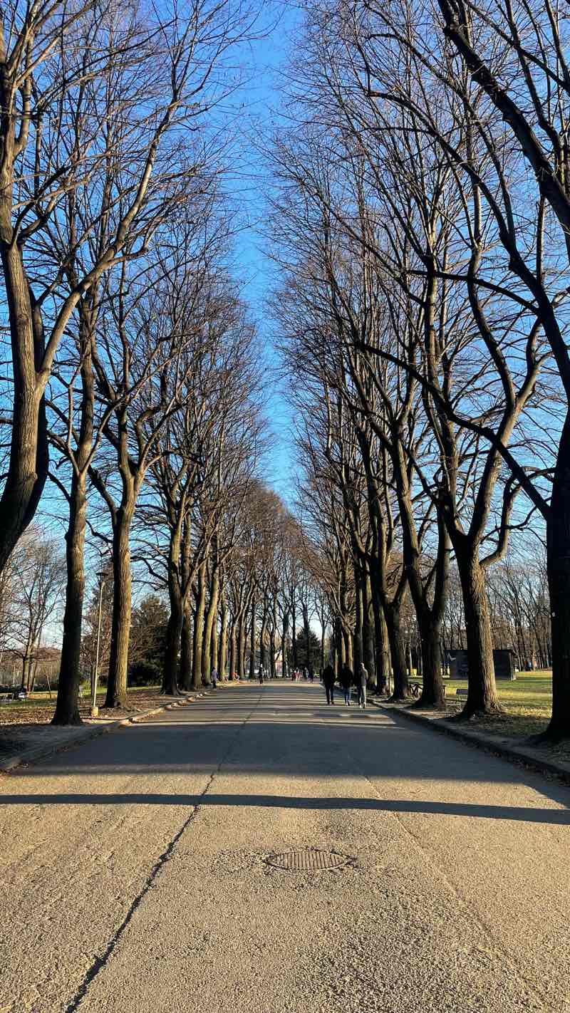 walking near me in Parco della Tesoriera in winter
