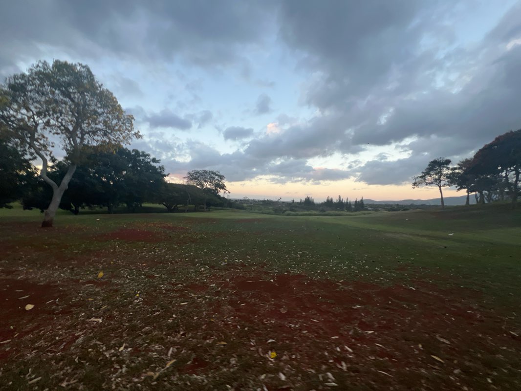 walking near me in Patsy T. Mink Central Oahu Regional Park in spring