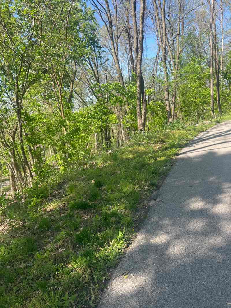 walking near me in Sunset Park in spring