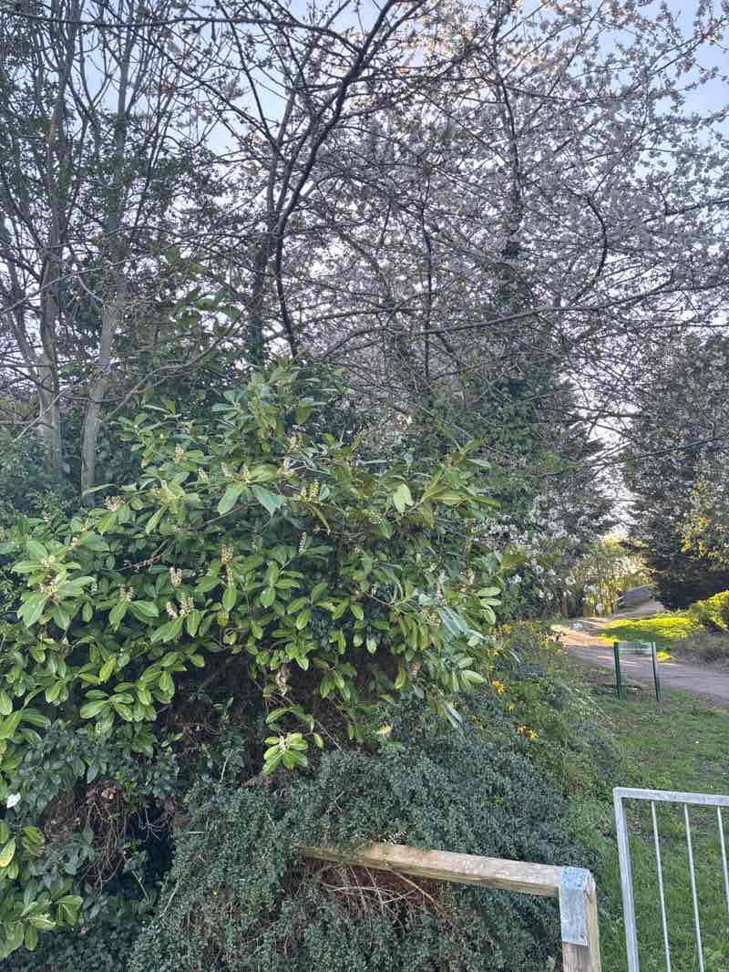 walking near me in Woolstone Green in spring