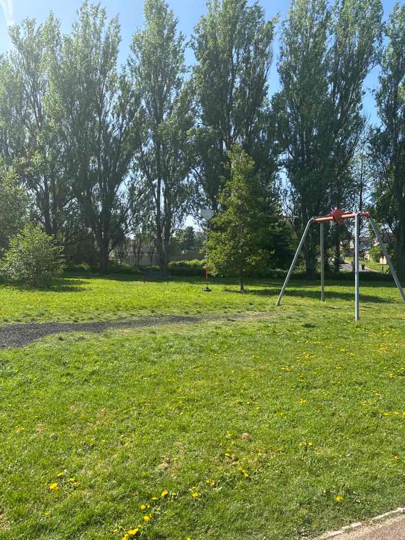 walking near me in Prior Deram Park in spring