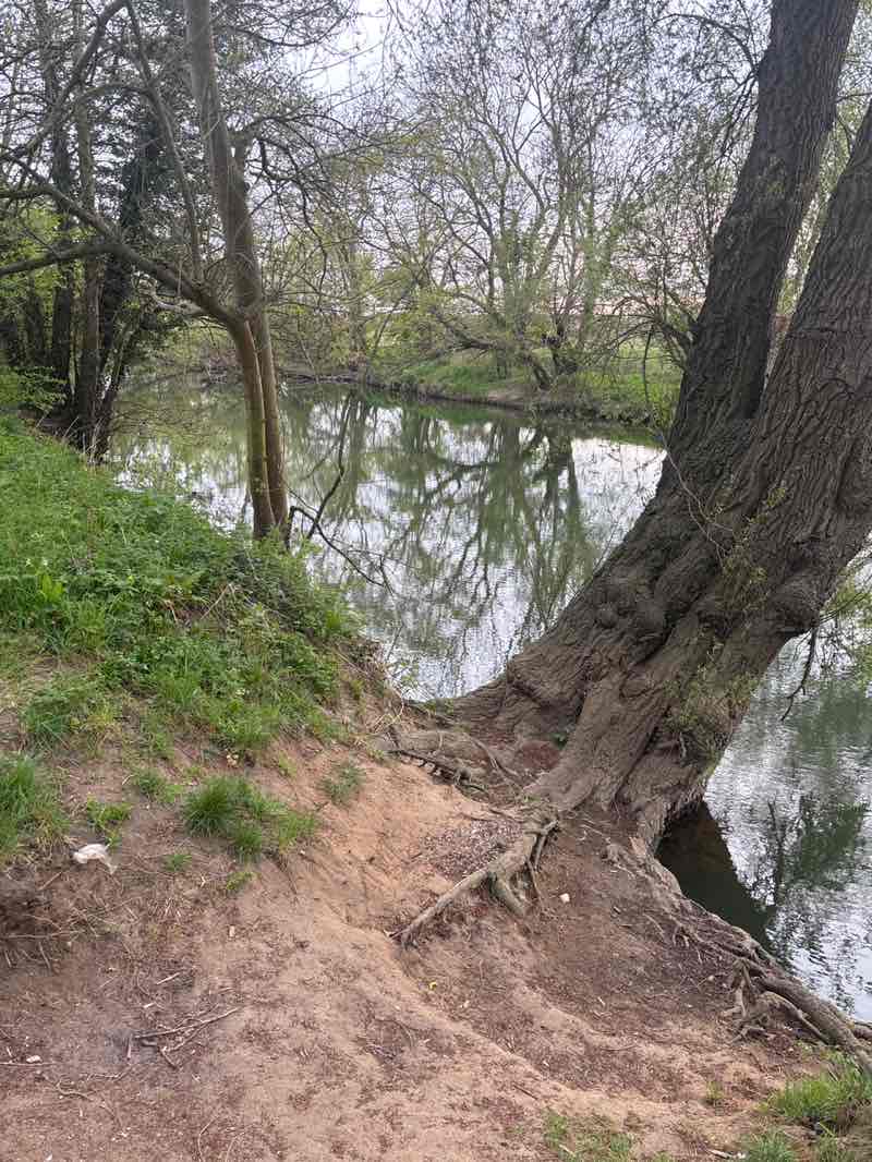 walking near me in Kempston Riverside Park in spring