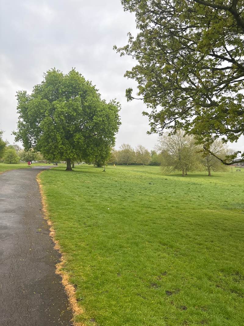 walking near me in Bow Hill Park in spring