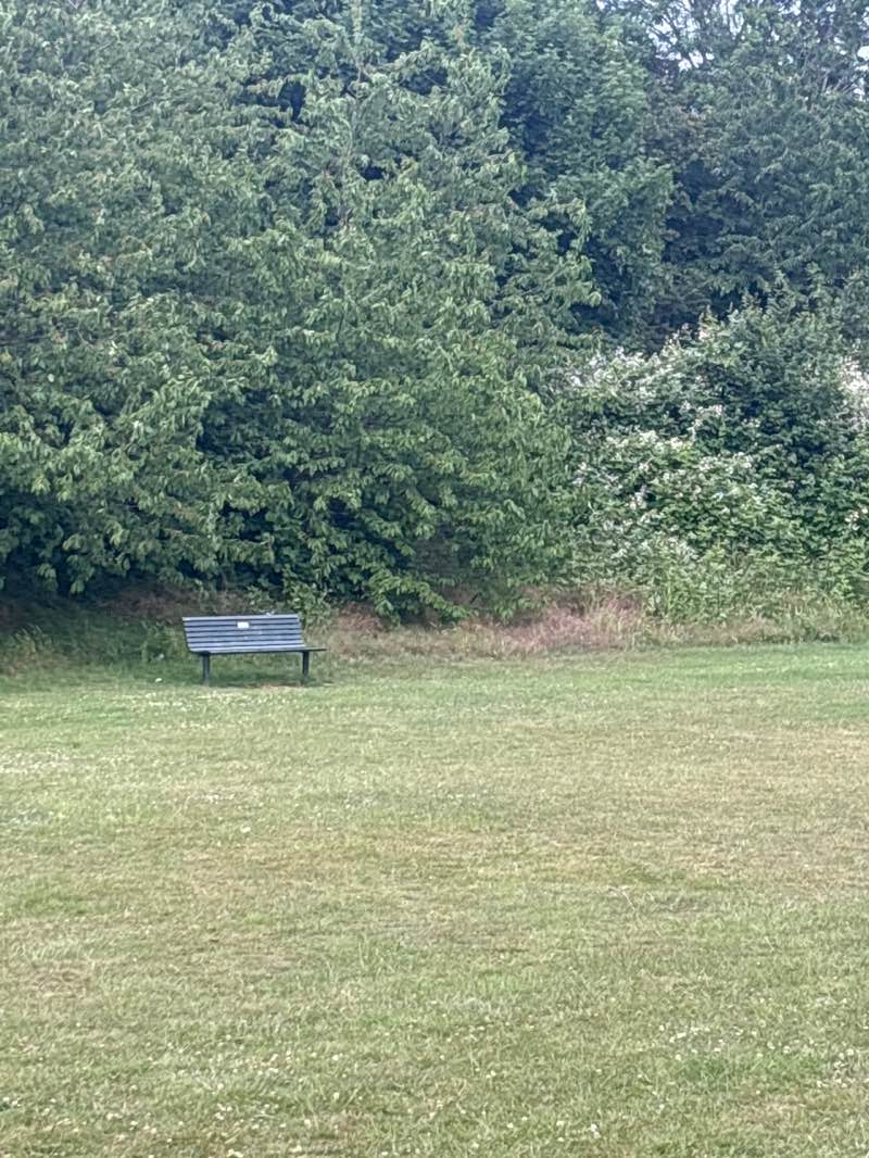 walking near me in Willowside Park in spring