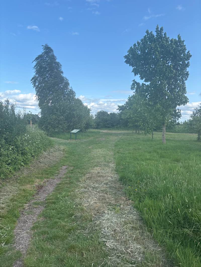 walking near me in Cranfield Millennium Park in summer