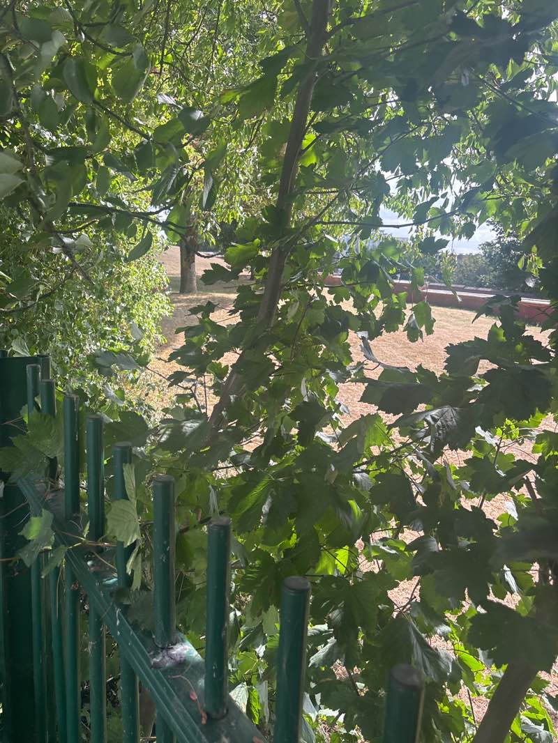 walking near me in Castle Mound in autumn