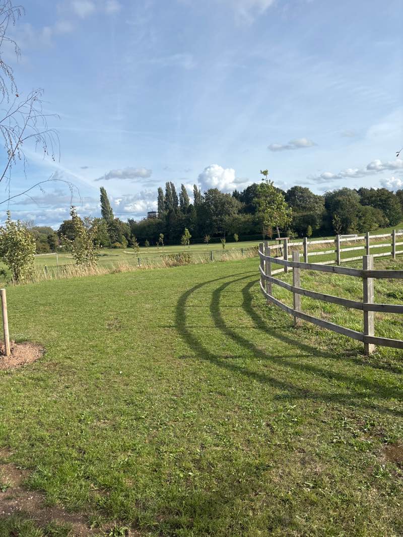walking near me in Cubbington Road Open Space in autumn
