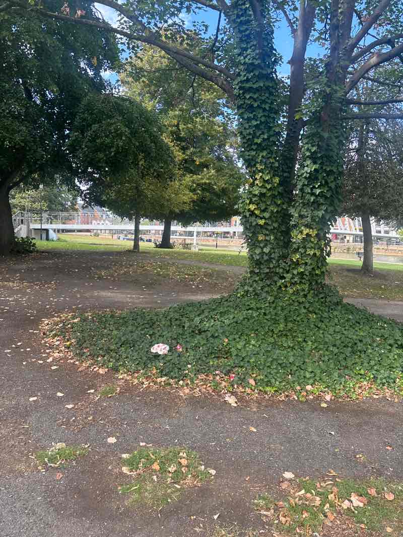 walking near me in St Mary's Gardens in autumn
