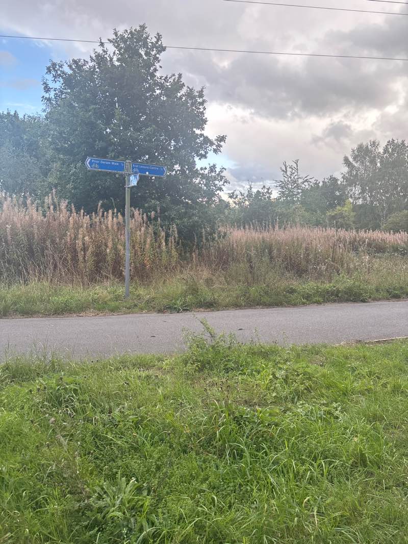 walking near me in Canley Corridor in autumn