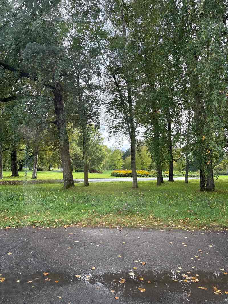 walking near me in Victory Park in autumn