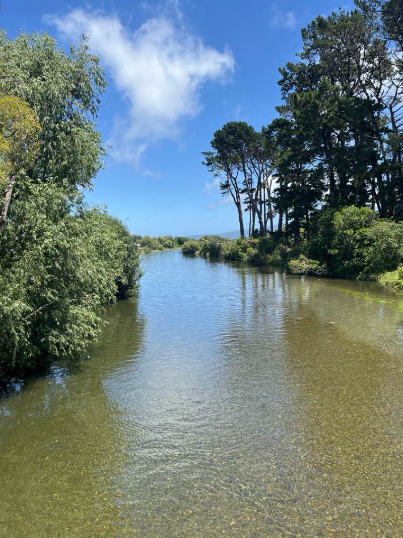 walking near me in Otaihanga Domain in summer
