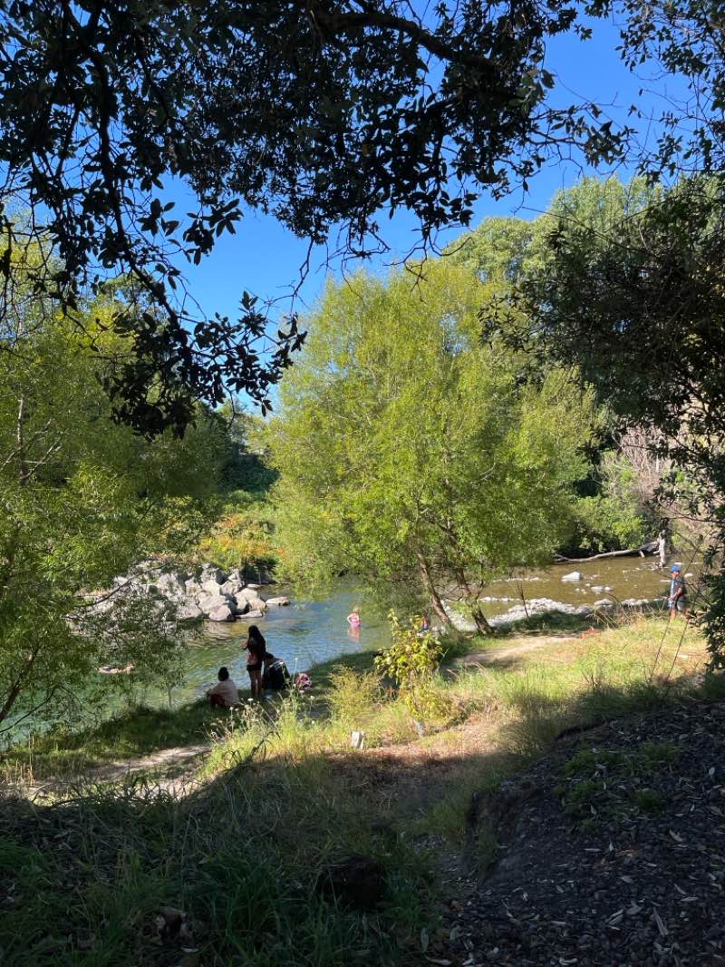 walking near me in Otaraua Park in summer