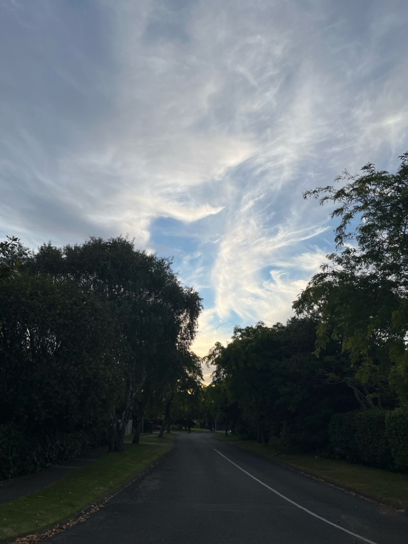 walking near me in Waikanae Park in summer