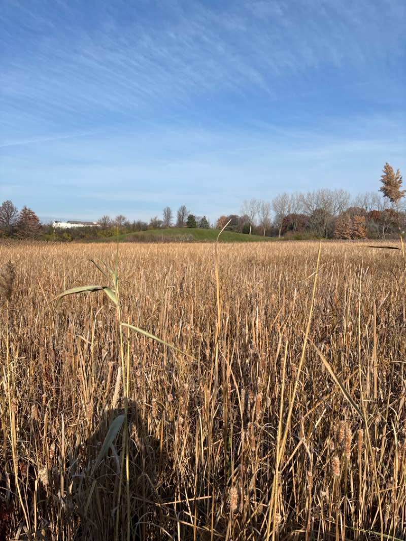 walking near me in Spring Brook Park in autumn