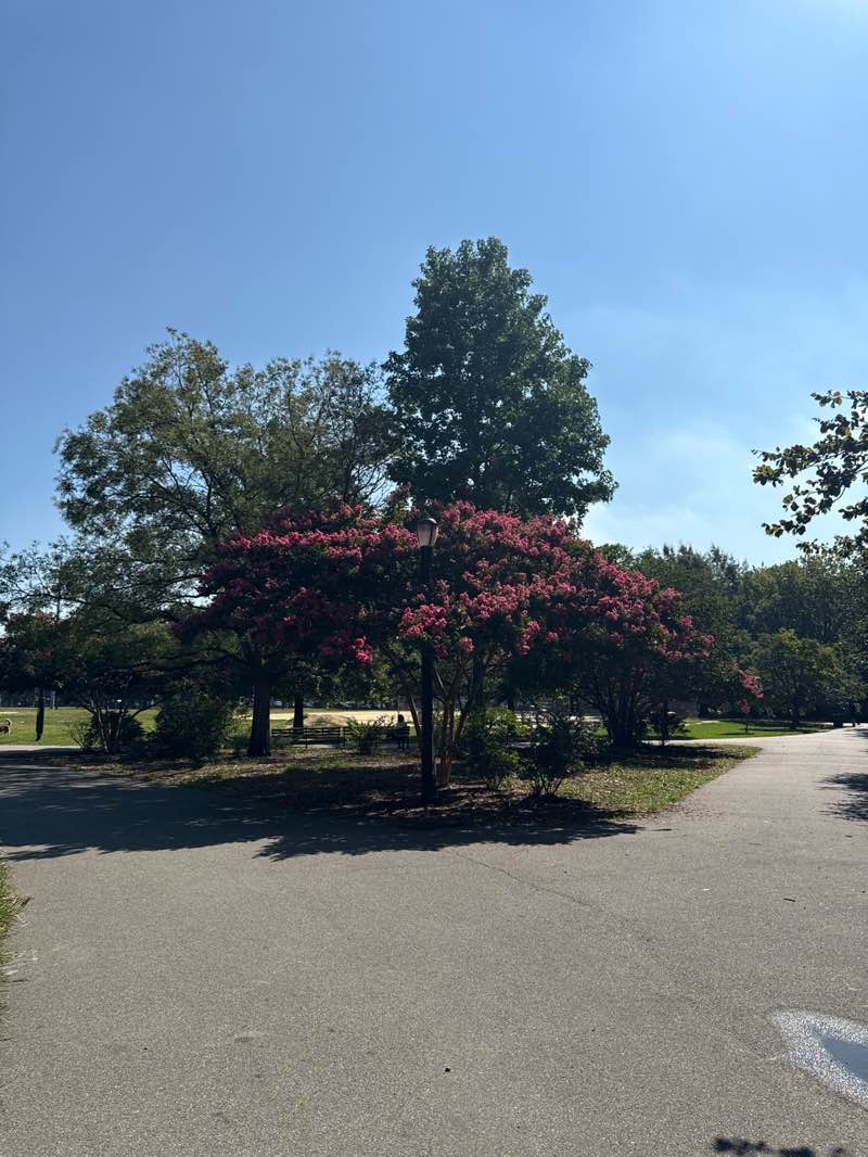 walking near me in McCarren Park in autumn