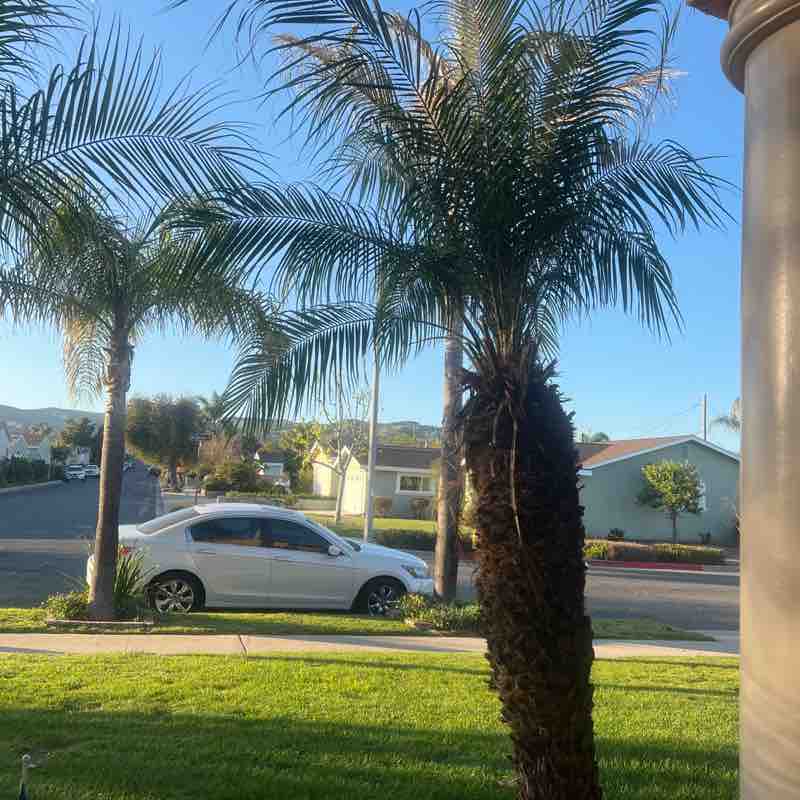 Momis Designs post 1