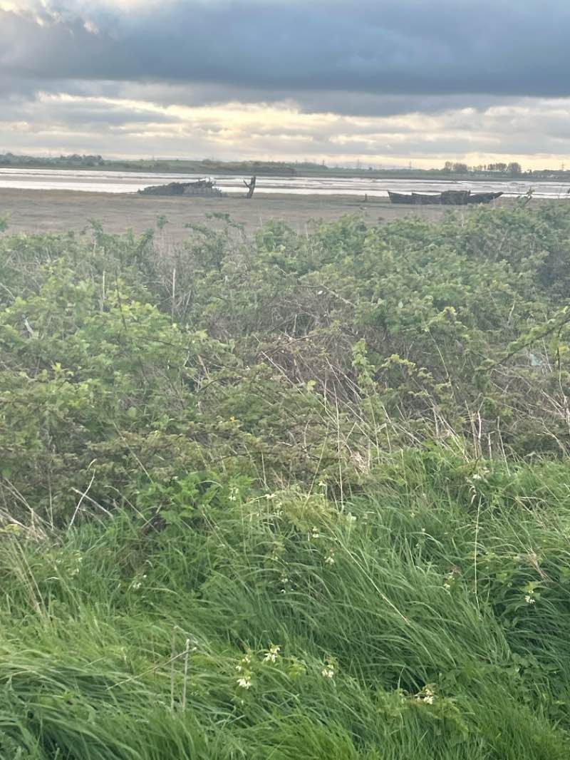 walking near me in The Mount in spring