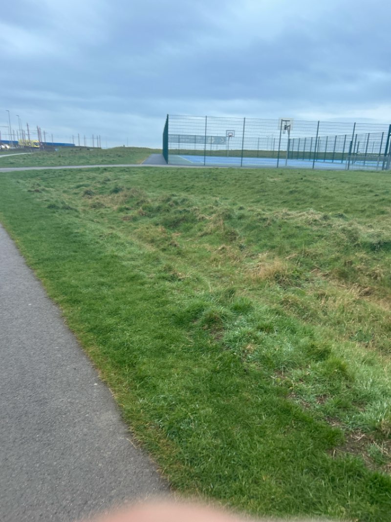 walking near me in Anchorsholme Park in spring