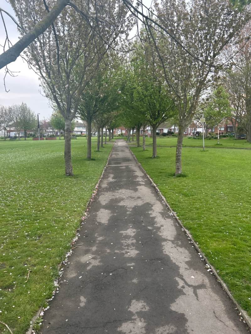 walking near me in East Pines Park in spring