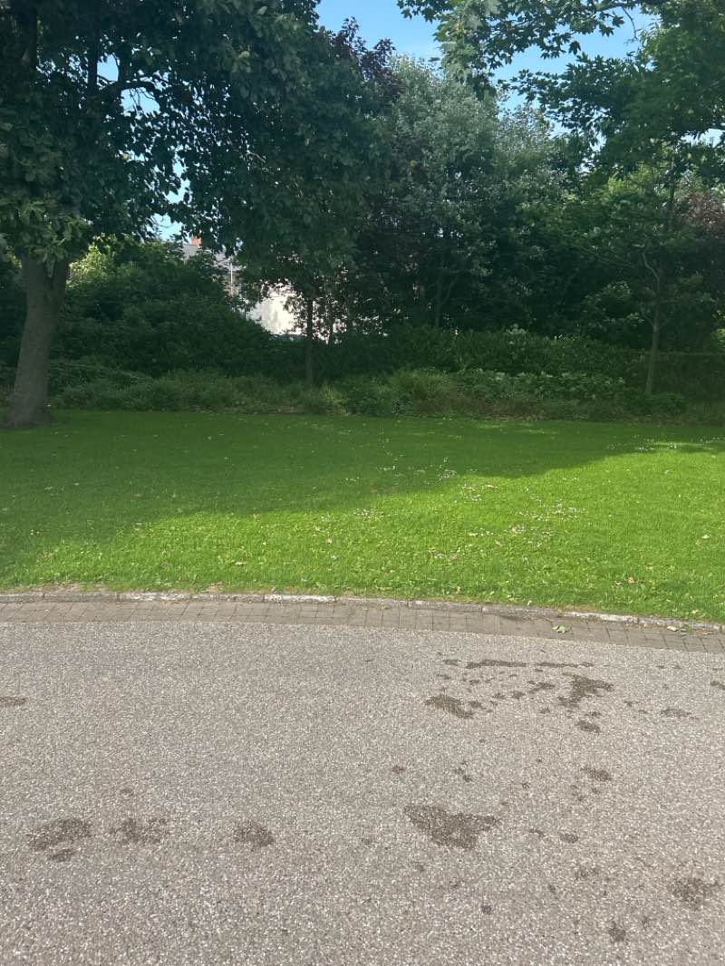 walking near me in Memorial Park in summer