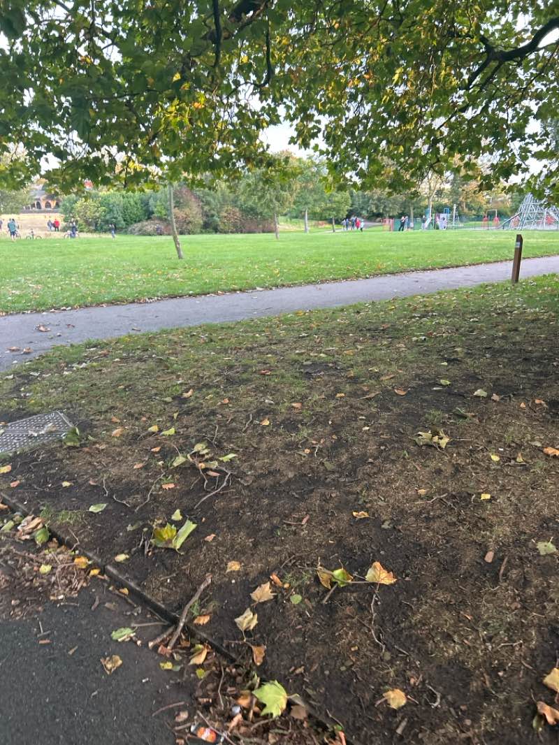walking near me in Stanley Park in autumn